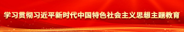 肥女色色学习贯彻习近平新时代中国特色社会主义思想主题教育